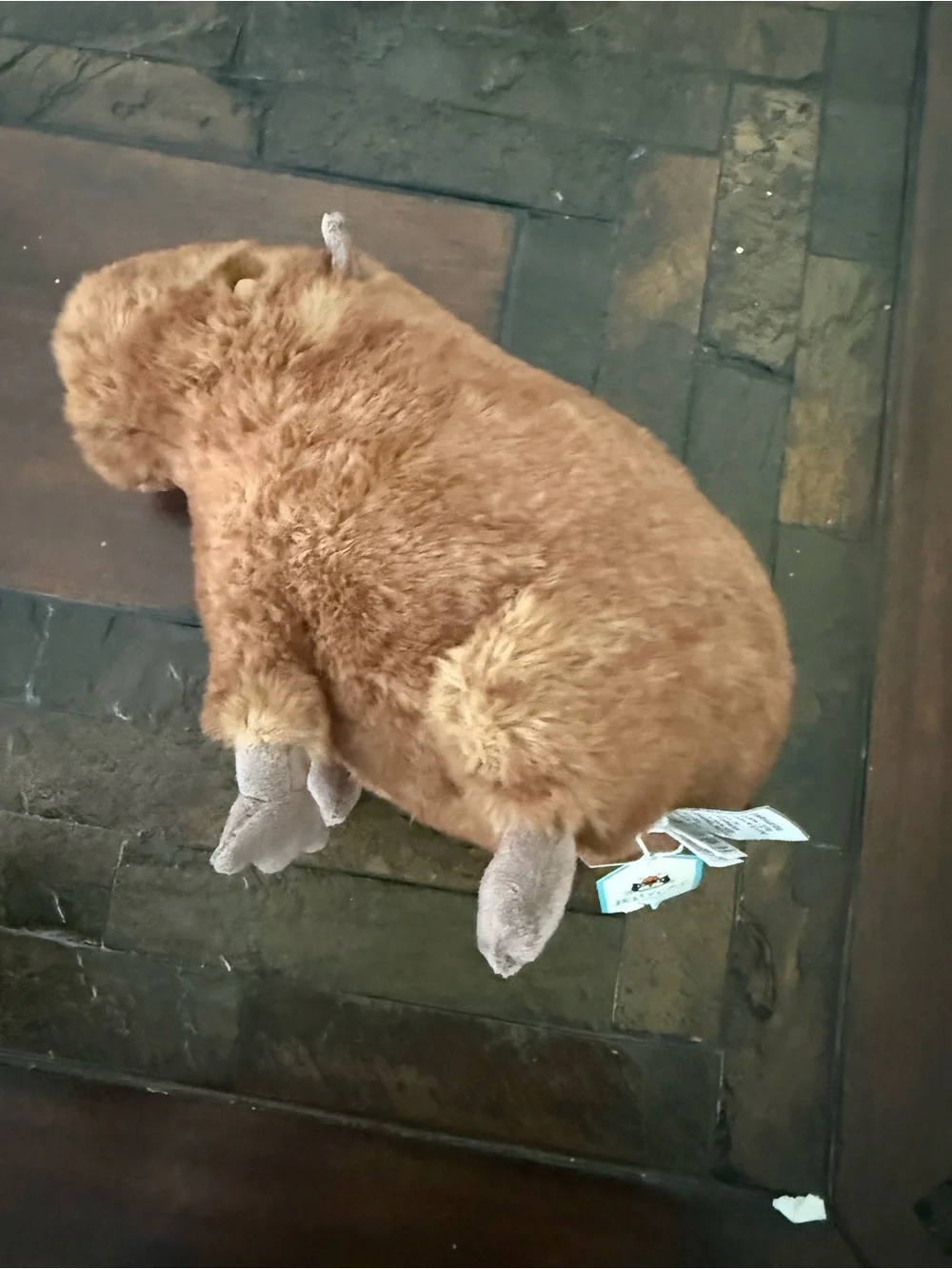 Jellycat Tan and Dark Brown Capybara Plush - Picture 3 of 11